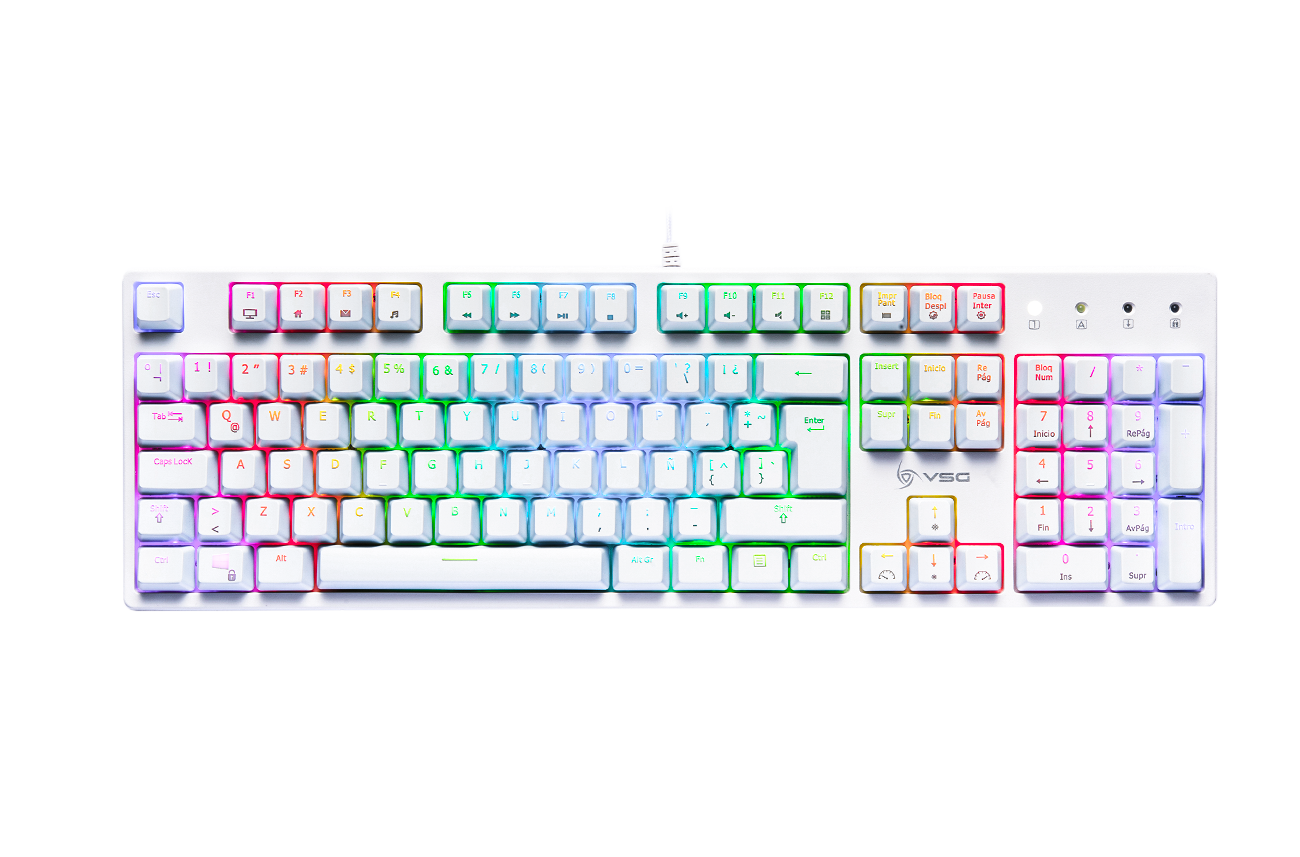 Blanco / Regular Marrón